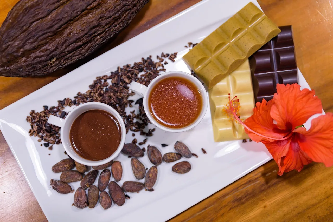 cacao 7330888 1280
