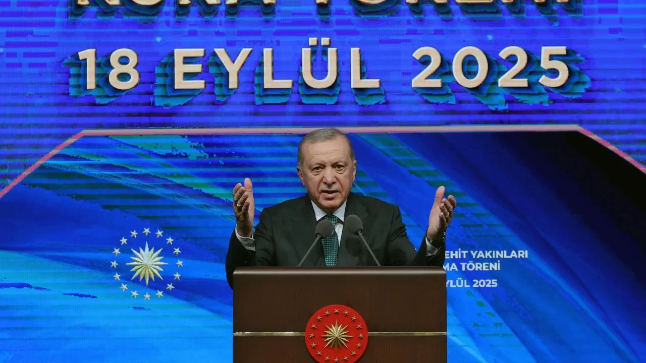 erdogan n
